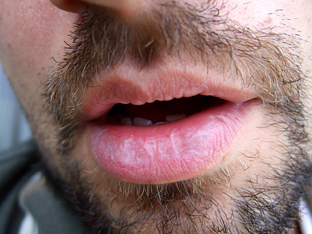 Stany - Le Roeulx - Hainaut | Rencontre gay